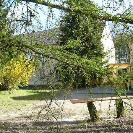 Suedseite Apartment Nossentiner Huette Luaran gambar